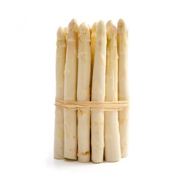Frischer weißer Spargel aus Beelitz Deutschland 1kg Bund